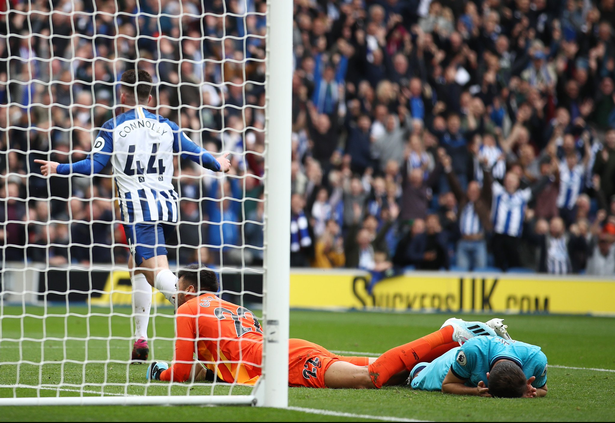 未来可期 未来可期